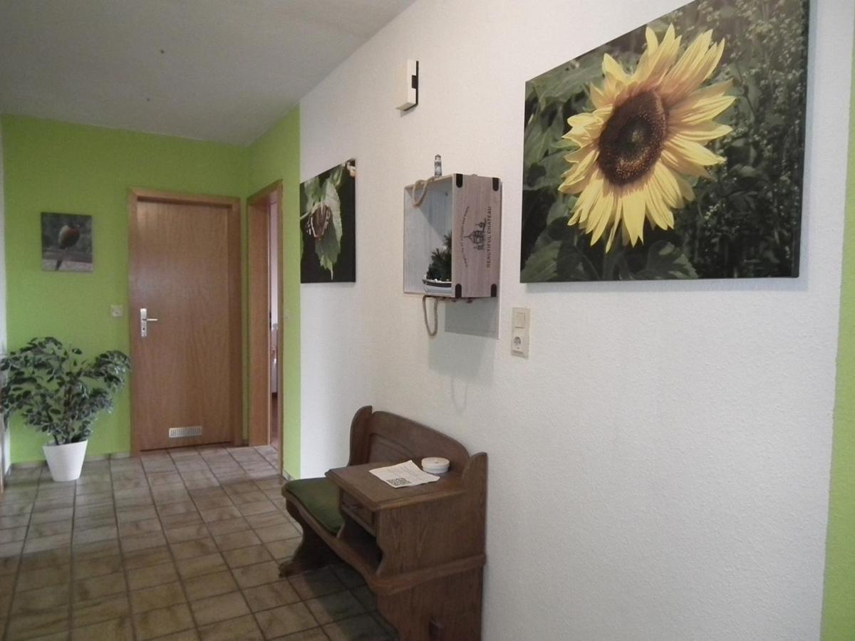 Ferienwohnung "Landblick" 吕丁豪森 外观 照片